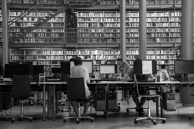 people at computers in a library